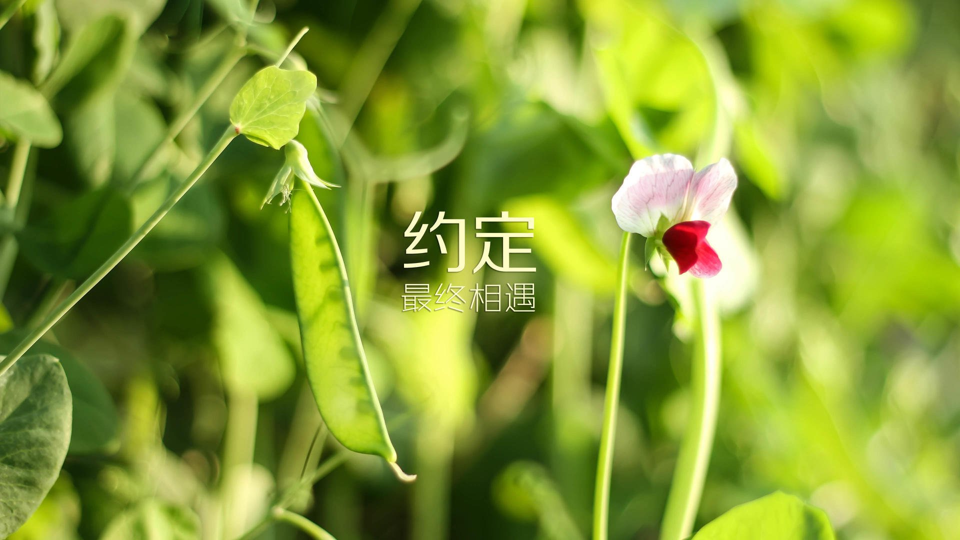 开云下载-体育装备采购流程规范化与质量监管建议，体育器材采购清单