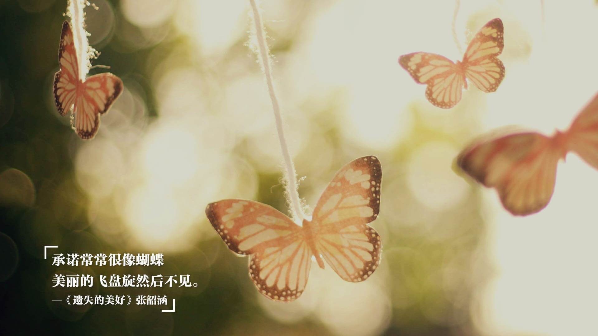 开云体育俱乐部官网-青少年体育竞赛规则制定,青少年体育赛事体系