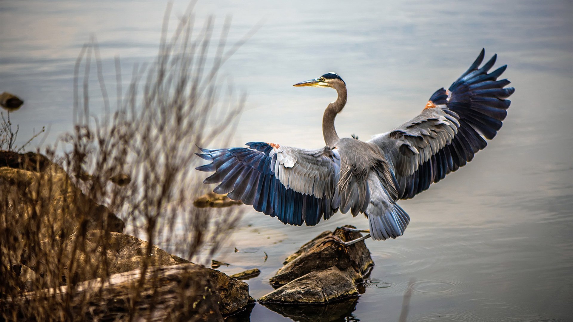 kaiyun 开云体育-AC米兰依靠节奏变化掌控控球权，ac米兰强不强