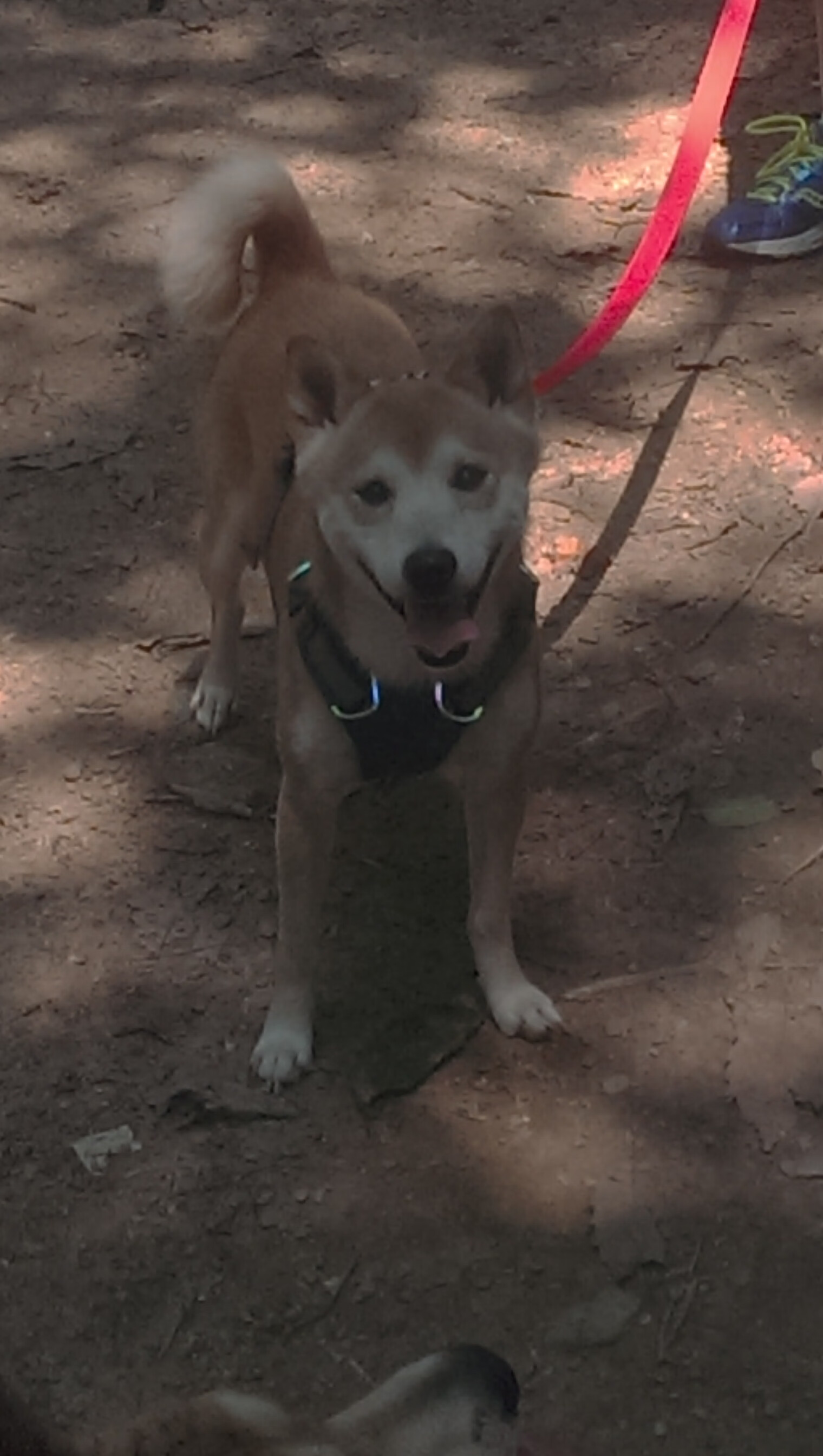 开云·体育官方网站入口-中国三人篮球女队关注细节训练打造体系，中国三人篮球女生