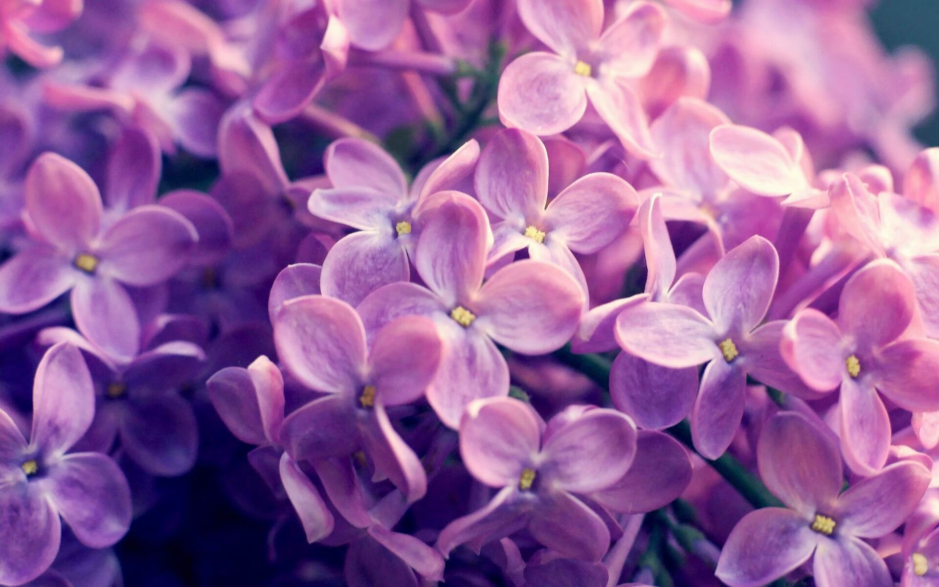 开云·体育官方网站入口-中国三人篮球女队关注细节训练打造体系,中国三人篮球女生