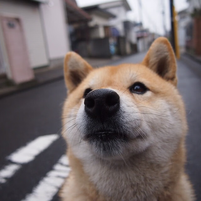 kering.com-五大联赛是否通过中后场多点接应破解高压防守，五大联赛防守水平