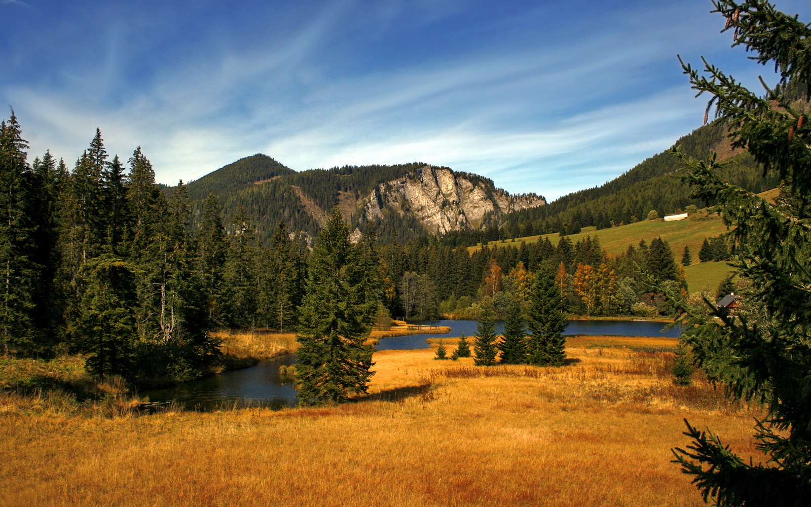 开云体育官网登入-俱乐部高层过度干预技战术布局