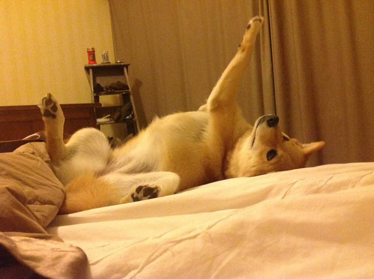 开云全站-女子网球世界巡回赛中国赛区赛程公布,女子网球2021