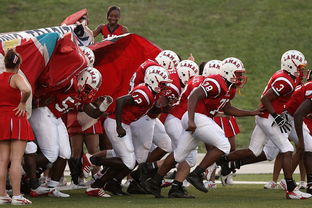 开云体育在线入口-搏击台上竞技水平持续提高,搏击台上竞技水平持续提高怎么办