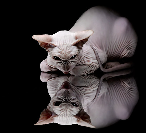 开云体育中国官方网站-王哲林谈团队协作比赛胜负关键不在个人,王哲林参加三人篮球赛