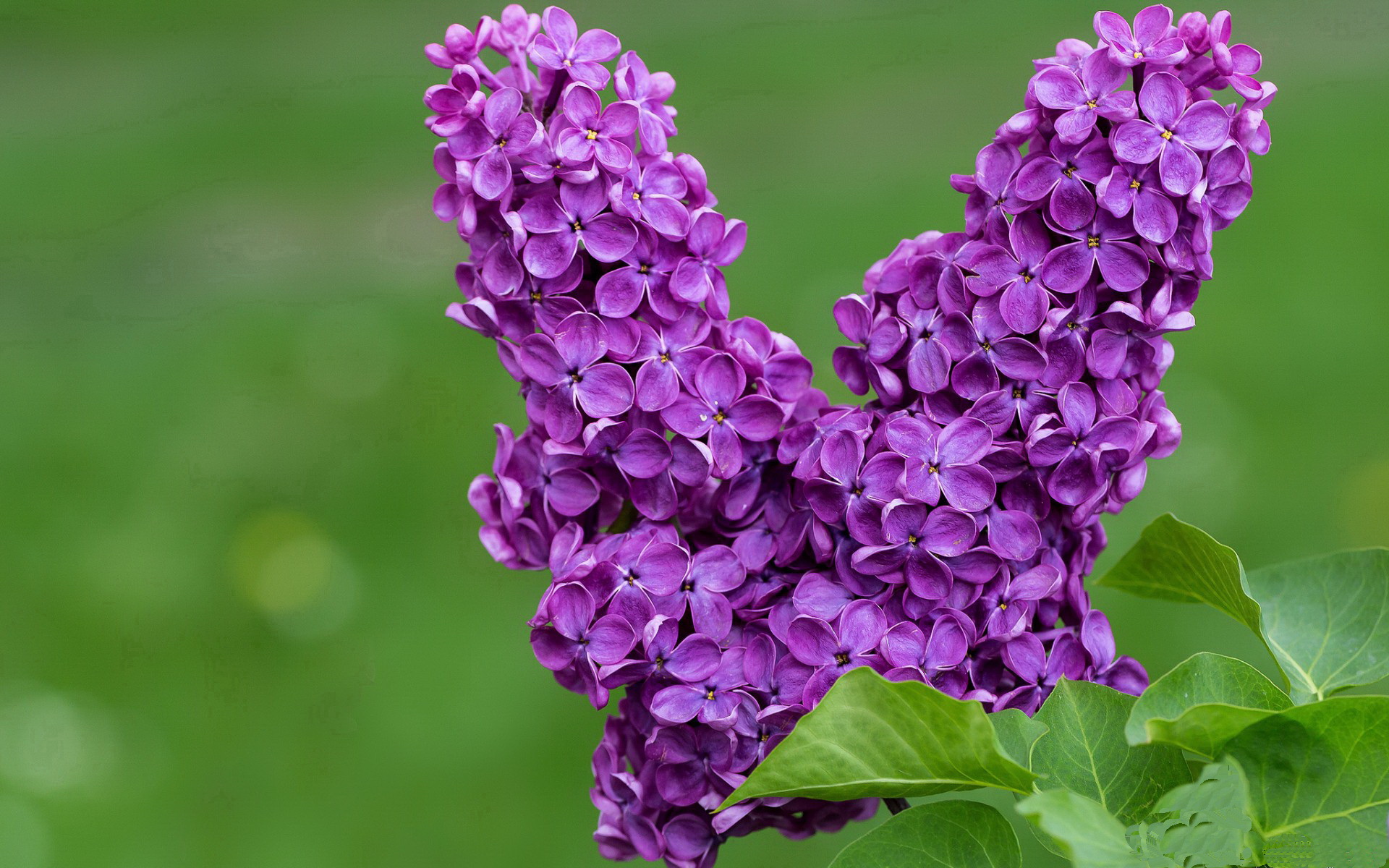 开云中国大陆-乡村篮球兴趣班普及率显著提升社区体育普惠性，乡村篮球文化