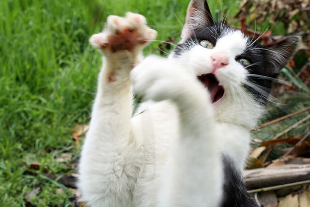 开云体育官方入口-尼克斯加强挡拆配合创造外线空间,尼克斯强不强