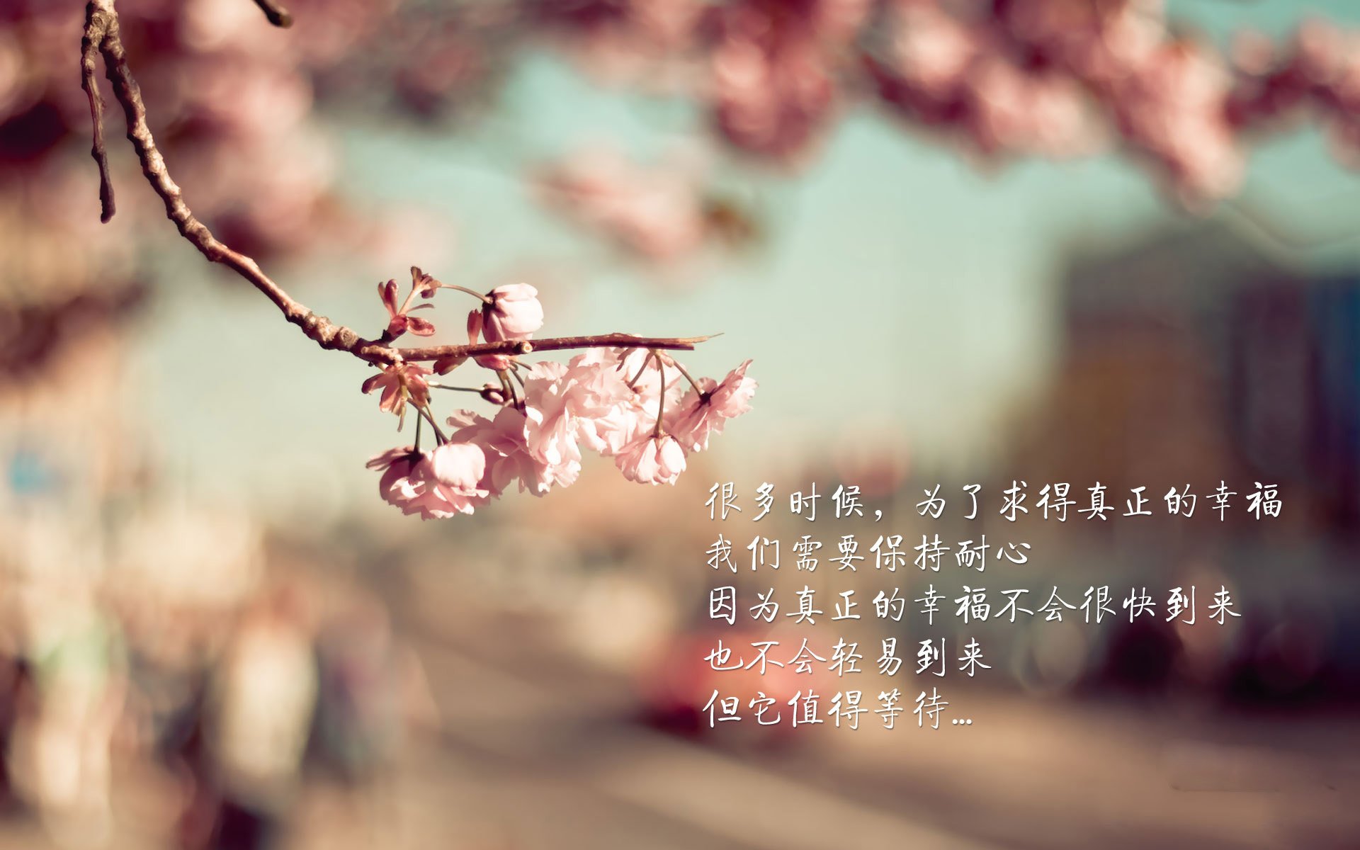 kaiyun 开云体育-希腊女篮在欧洲锦标赛中再战群雄,争取最强荣耀,希腊女子篮球超级联赛ds