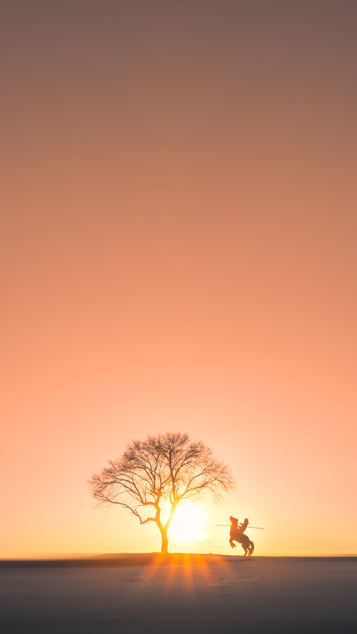 开云官网APP下载-张伟丽接受外媒专访展拳击精神，张伟丽现场直播的拳击赛