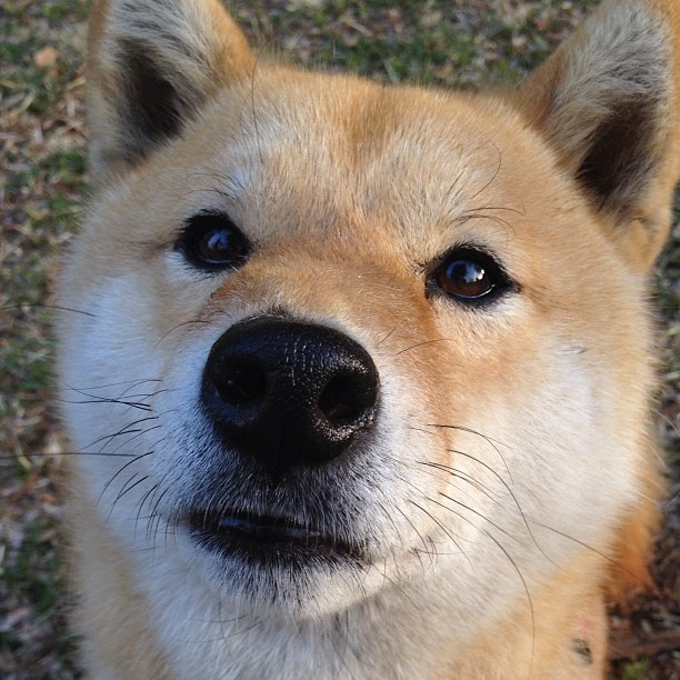 开云体育官方网入口-曾凡博签约训练营开启职业化之路美媒称其为发展潜力股，曾凡博简介在哪出生