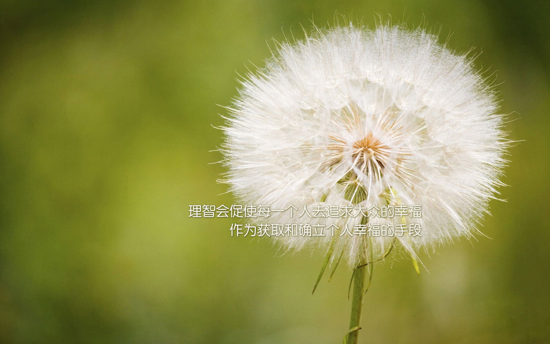 开yun官网-欧洲杯战术变革:致胜诀窍由阵型决定,欧洲杯比赛的