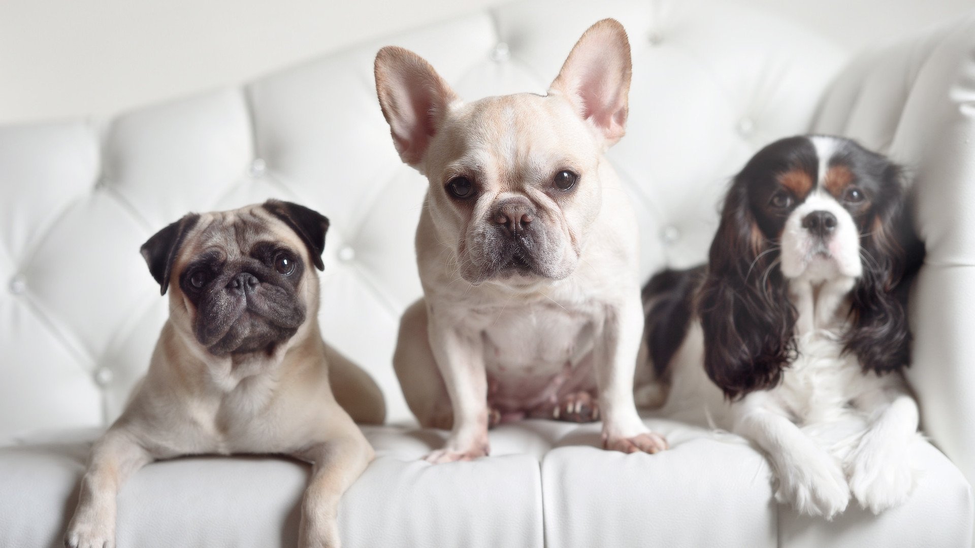 kaiyun-欧洲杯战术风云:变阵带来的高潮连连,欧洲杯战术笔记