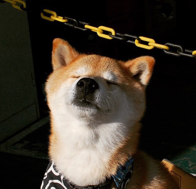 kaiyun-欧洲杯战术风云:变阵带来的高潮连连,欧洲杯战术笔记