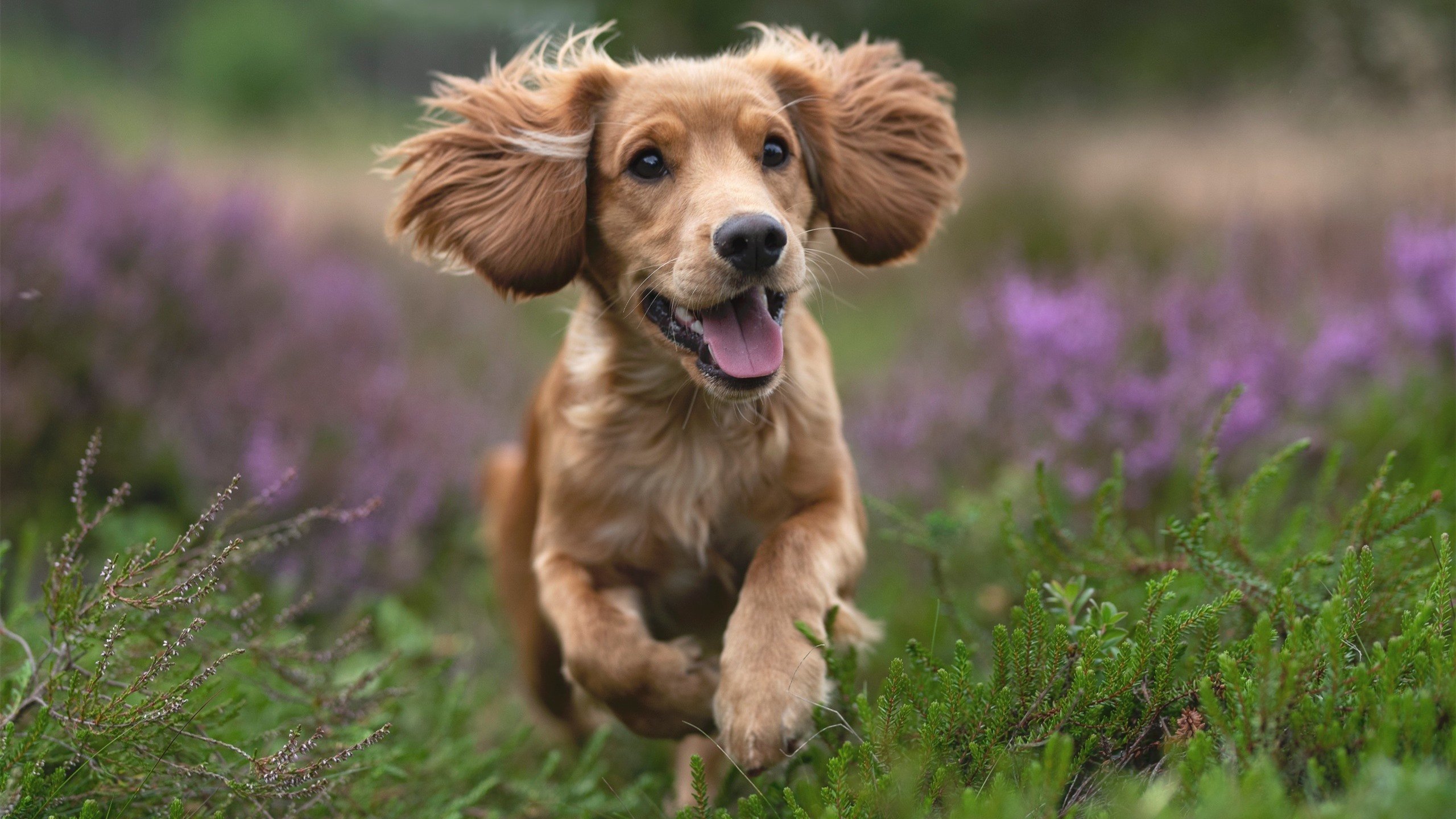 kaiyun网站-湖人组织老带新小组提升队内协作氛围,老队员带新队员